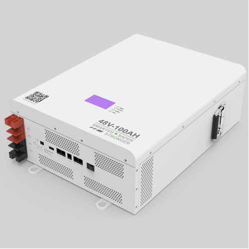 Акумулятор Dipower Wall Mounted 48V/100AH, 4800W*h (BYD NMC, 13S1P, літій-іонний акумулятор для ДБЖ (UPS)) Акумулятор Dipower Wall Mounted 48V/100AH, 4800W*h (BYD NMC, 13S1P, літій-іонний акумулятор для ДБЖ (UPS))