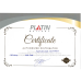 Автомобільний акумулятор PLATIN Silver Asia 105Ah 940A L+ (лівий) нижнє кріплення SMF N70