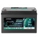 Акумулятор EverExceed LiFePO4 12V/100AH (1280W*h) (літій-залізо-фосфатний акумулятор для ДБЖ (UPS))